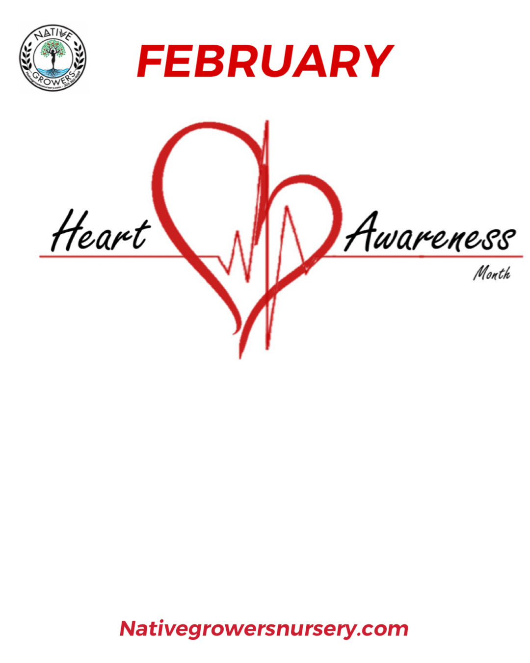 February is Heart Health Month! Feed your Heart!