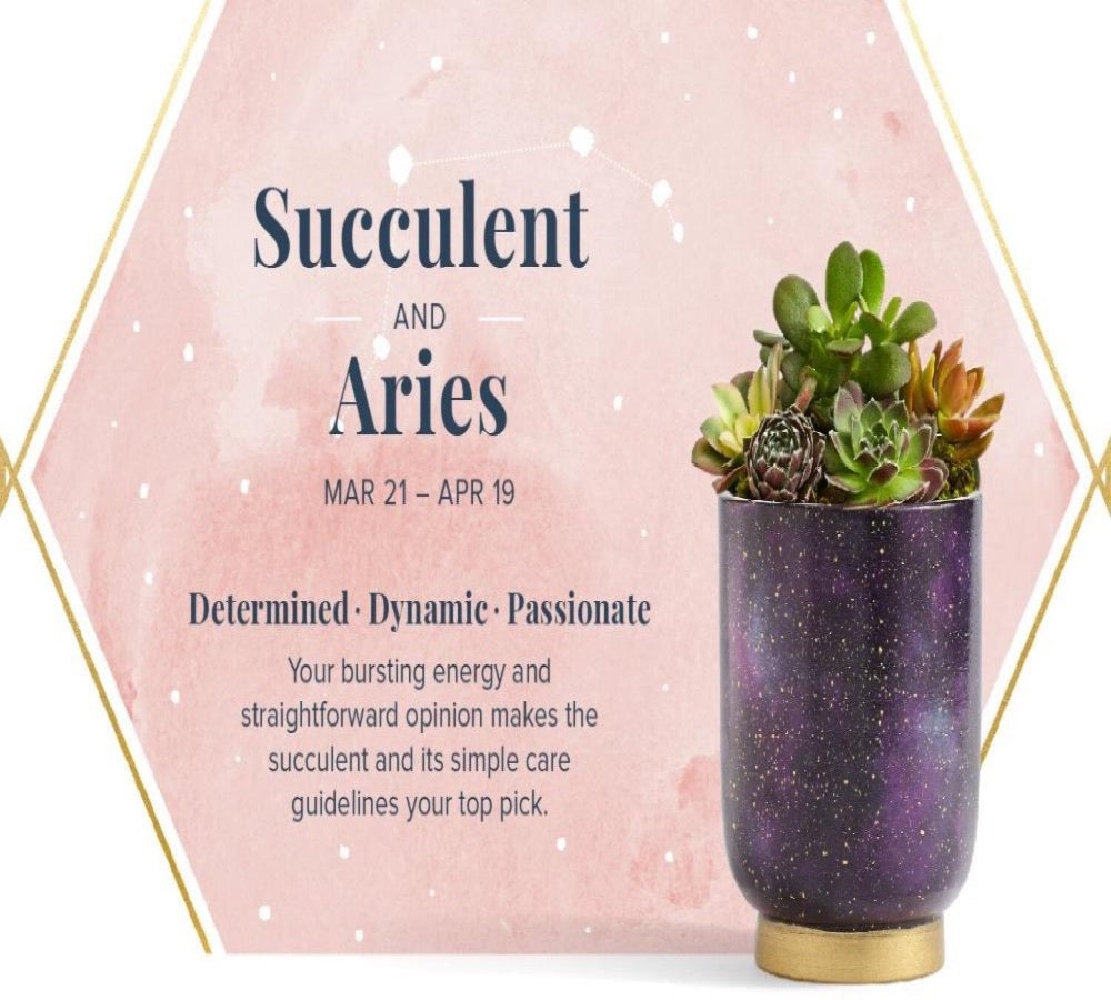 ARIES! IT'S YOUR BIRTHDAY!